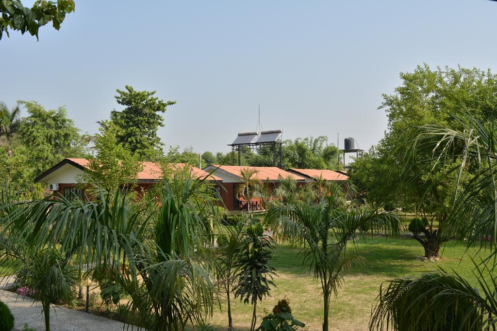 Jungle World Resort Sauraha Exterior photo