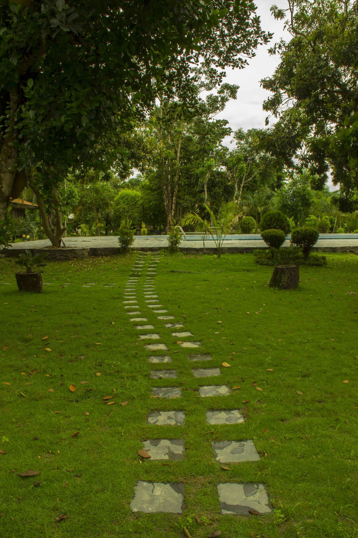 Jungle World Resort Sauraha Exterior photo